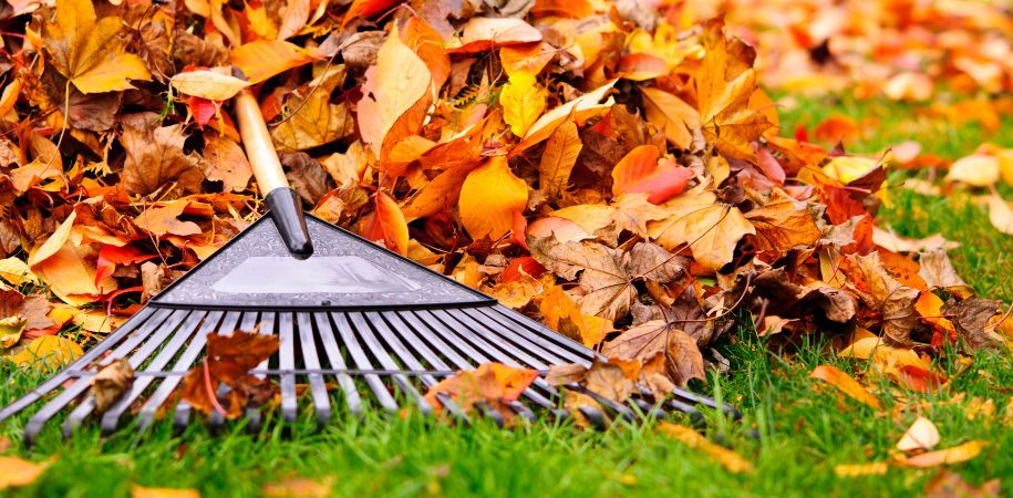 Autumn Clear Out at Murtaghs